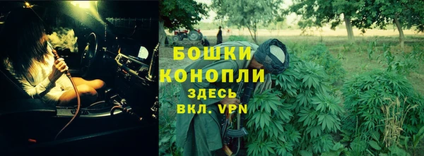 мяу мяу мука Надым