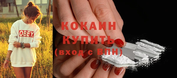 соль ск Михайлов