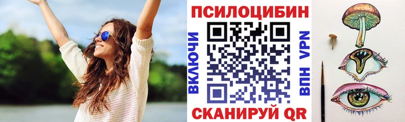 mega tor  Козьмодемьянск  Псилоцибиновые грибы прущие грибы 